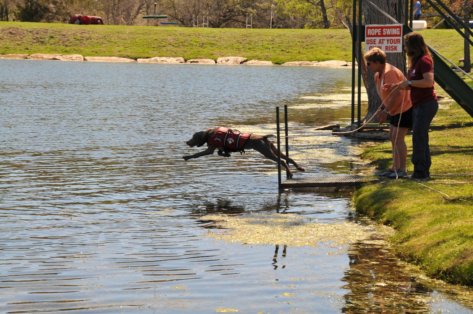 Canine Camp – Spring – The Canine Center